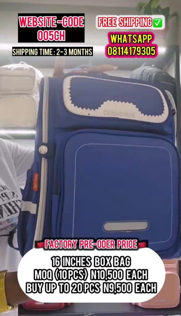 16inches BOX BAG 005CH