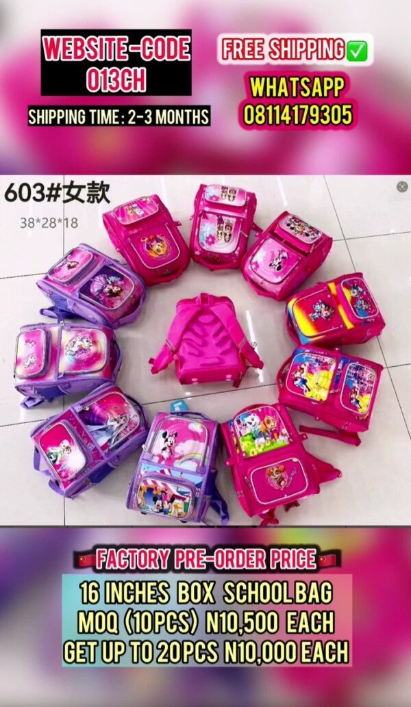 16 INCHES BOX SCHOOLBAG  013CH